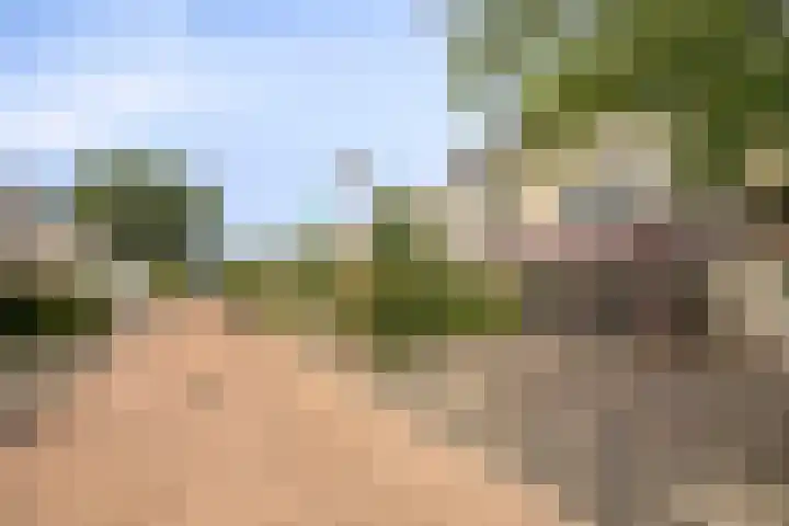 Graafschap 18 Lelystad thumbnail 30