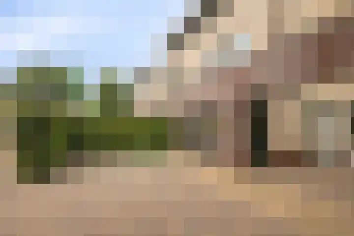 Graafschap 18 Lelystad thumbnail 5