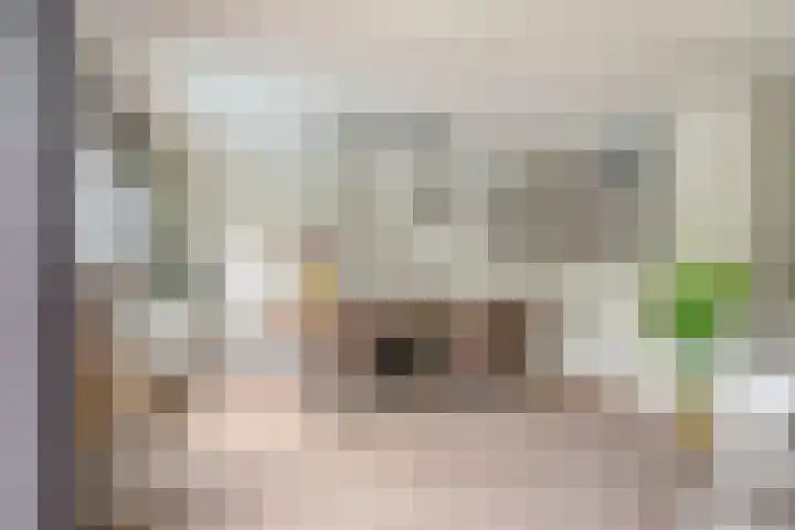 Graafschap 18 Lelystad thumbnail 8