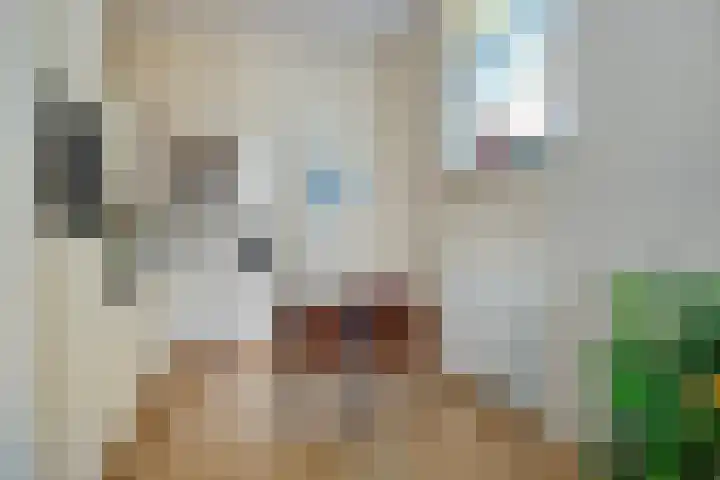 Graafschap 27 Kampen thumbnail 10