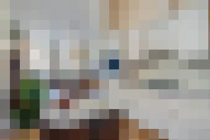Graafschap 27 Kampen thumbnail 11