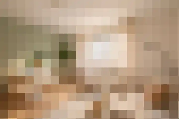 Graafschap 27 Kampen thumbnail 22