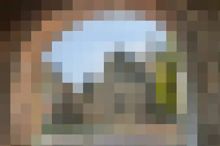 Graafschap 27 Kampen thumbnail 34