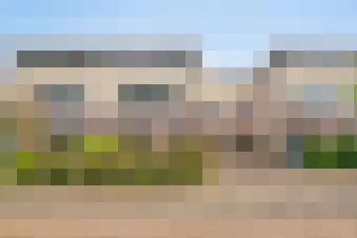 Graafschap 32 Lelystad