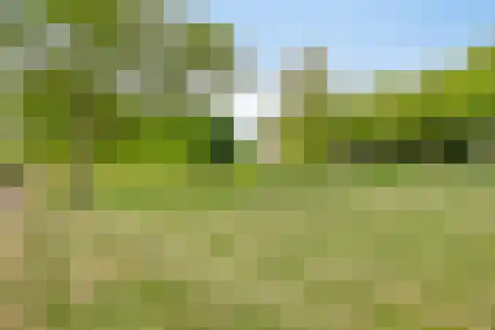 Graafschap 32 Lelystad thumbnail 29