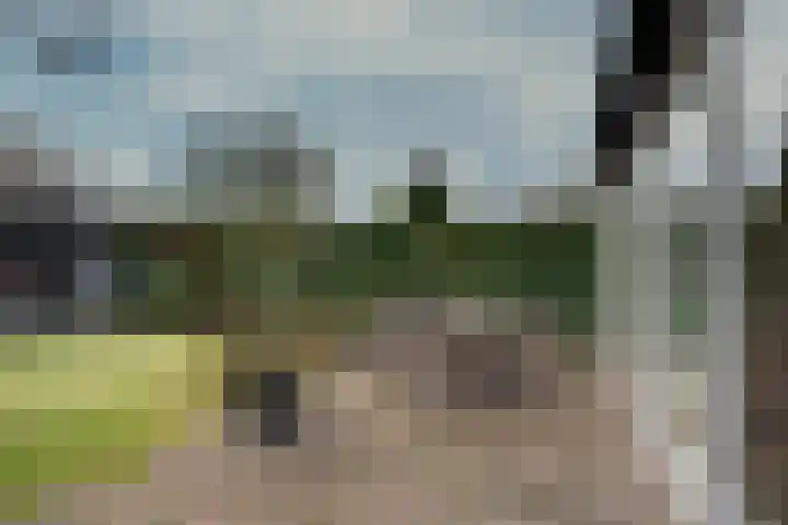 Graafschap 39 Assen thumbnail 31