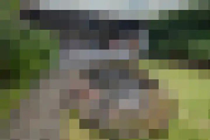 Graafschap 39 Assen thumbnail 33