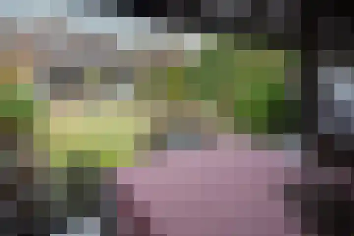 Graafschap 39 Assen thumbnail 36