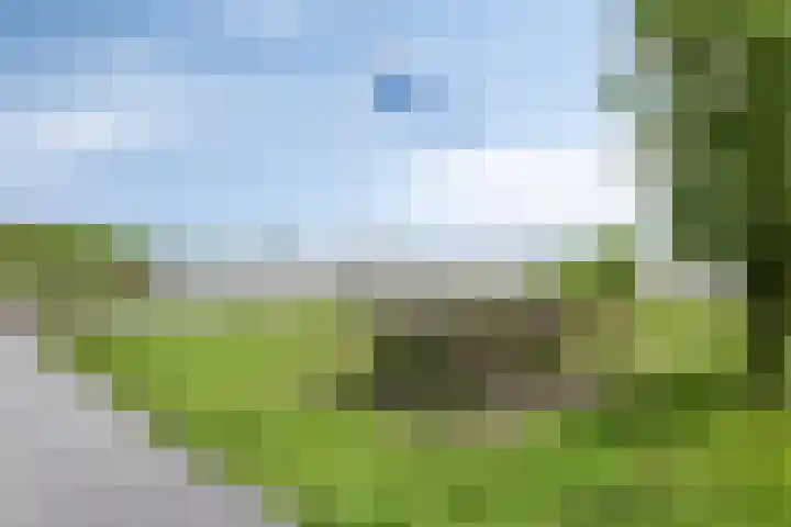 Graafschap 5 I Kampen thumbnail 45