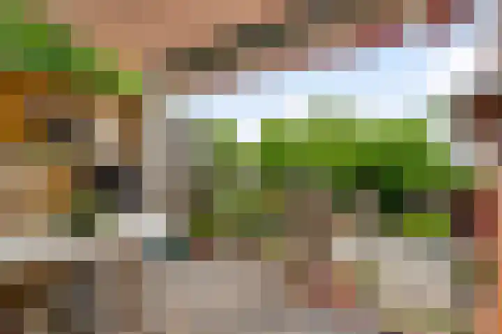 Graafschap Loonstraat 5 Horn thumbnail 21