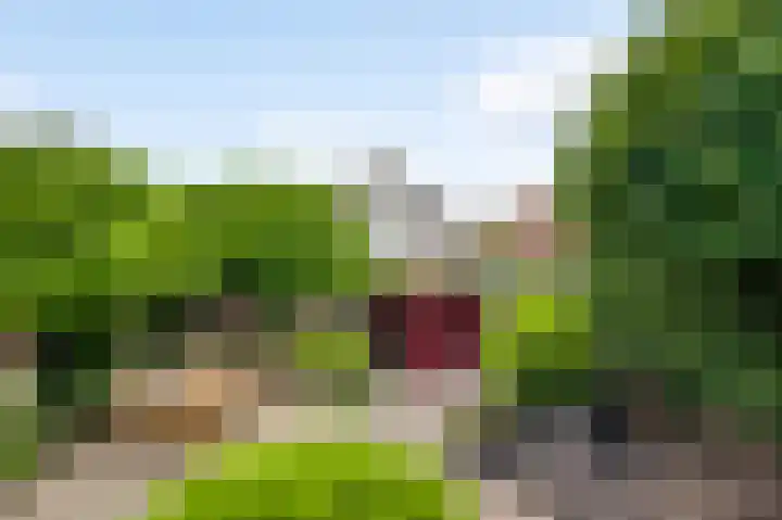 Graafschap Loonstraat 5 Horn thumbnail 30