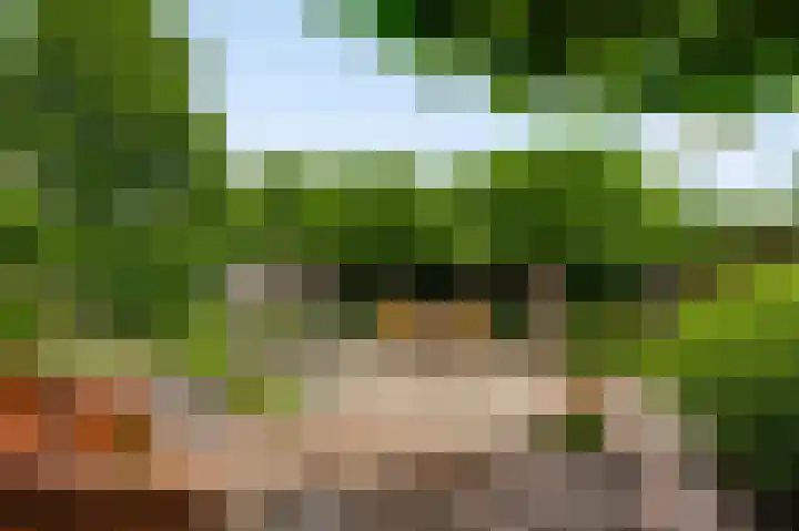 Graafschap Loonstraat 5 Horn thumbnail 31