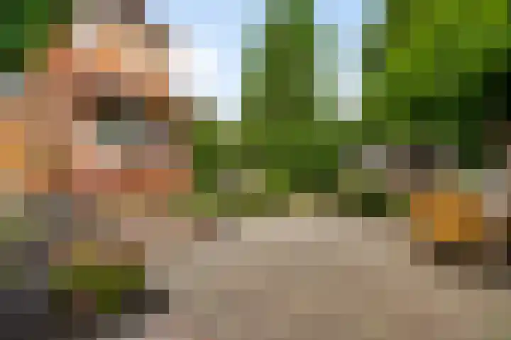 Graafschap Loonstraat 5 Horn thumbnail 32