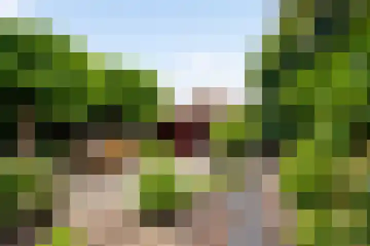 Graafschap Loonstraat 5 Horn thumbnail 34