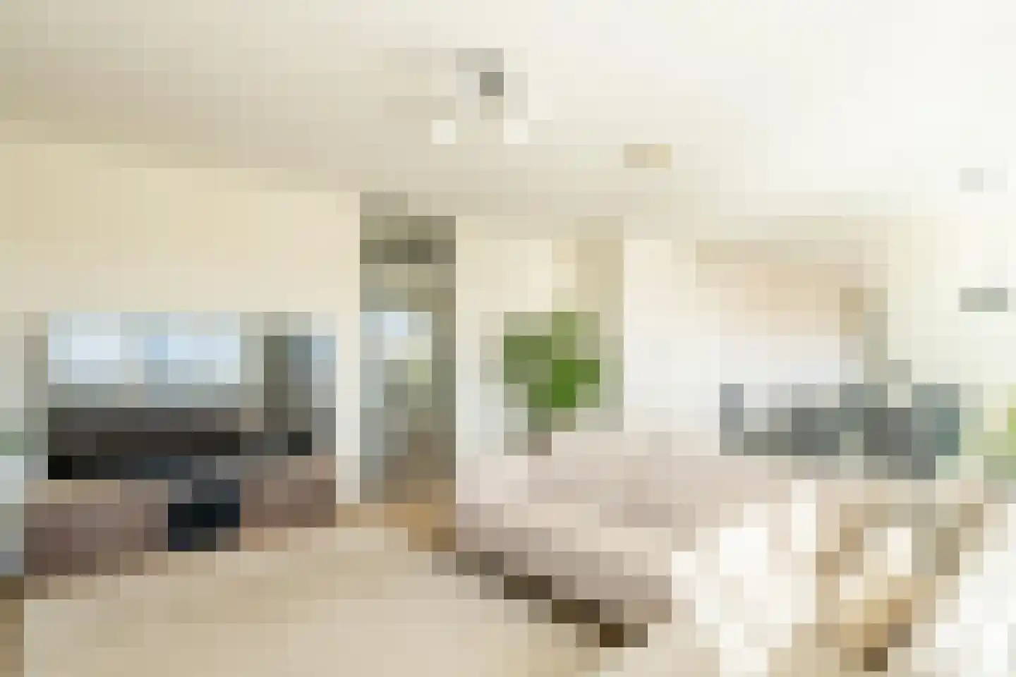 Graafschapstraat 34 Amsterdam thumbnail 19