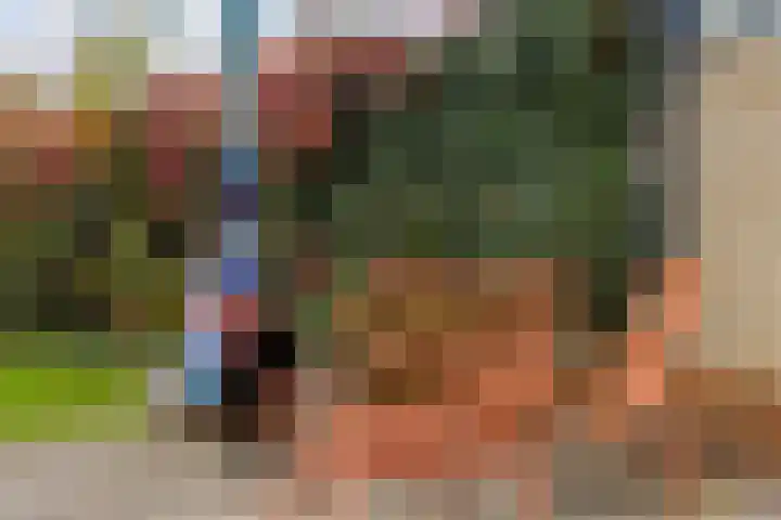 Graafschedijk 35 Escharen thumbnail 13