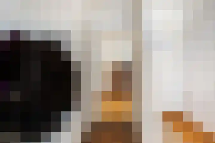 Graafschedijk 35 Escharen thumbnail 20