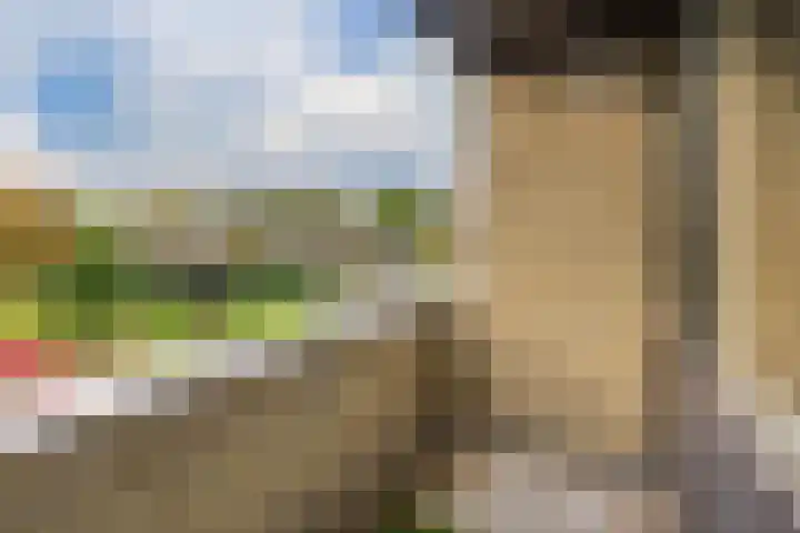 Graafschedijk 35 Escharen thumbnail 23