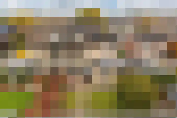 Graafschedijk 35 Escharen thumbnail 33