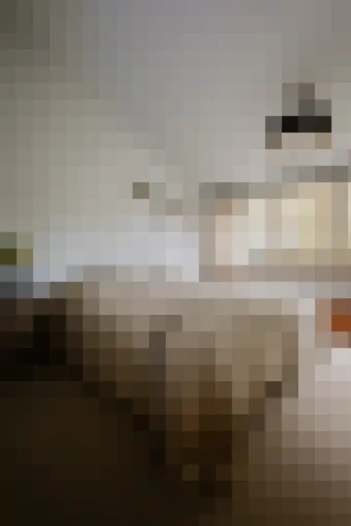 Graafsebaan 102 Rosmalen thumbnail 13