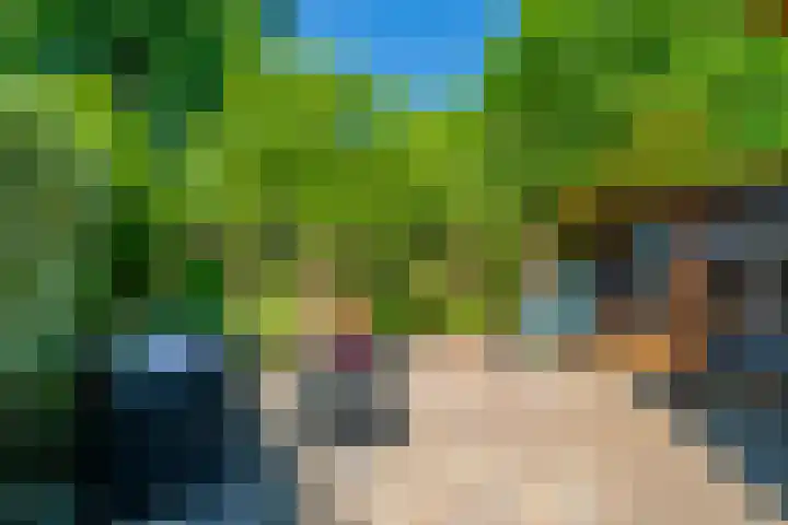 Graafsebaan 102 Rosmalen thumbnail 19