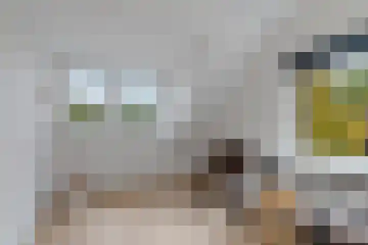 Graafsebaan 102 Rosmalen thumbnail 25