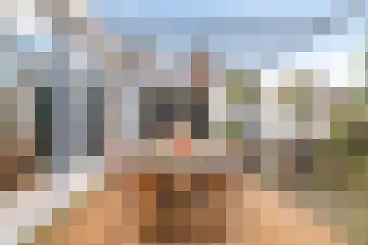 Graafsebaan 102 Rosmalen thumbnail 31
