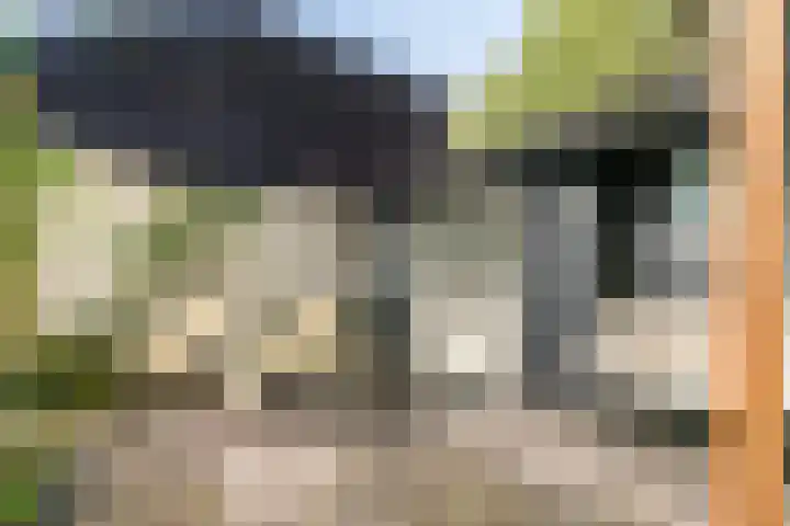 Graafsebaan 102 Rosmalen thumbnail 34