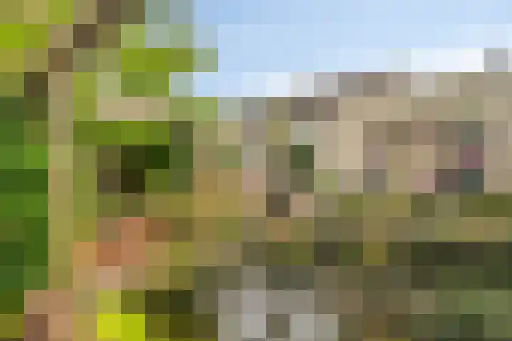 Graafsebaan 102 Rosmalen thumbnail 35