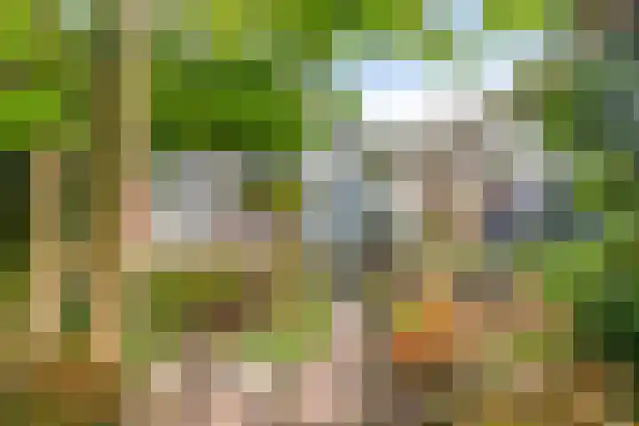 Graafsebaan 102 Rosmalen thumbnail 36