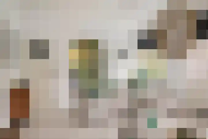 Graafsebaan 102 Rosmalen thumbnail 5