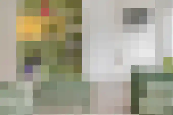 Graafsebaan 102 Rosmalen thumbnail 6