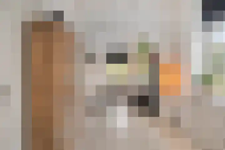 Graafsebaan 102 Rosmalen thumbnail 7