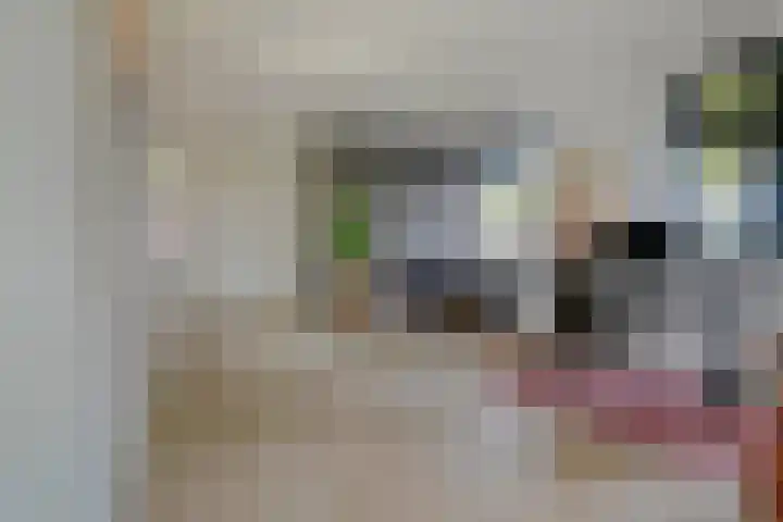 Graafsebaan 12 Rosmalen thumbnail 12