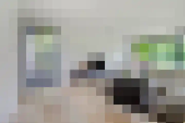 Graafsebaan 12 Rosmalen thumbnail 15