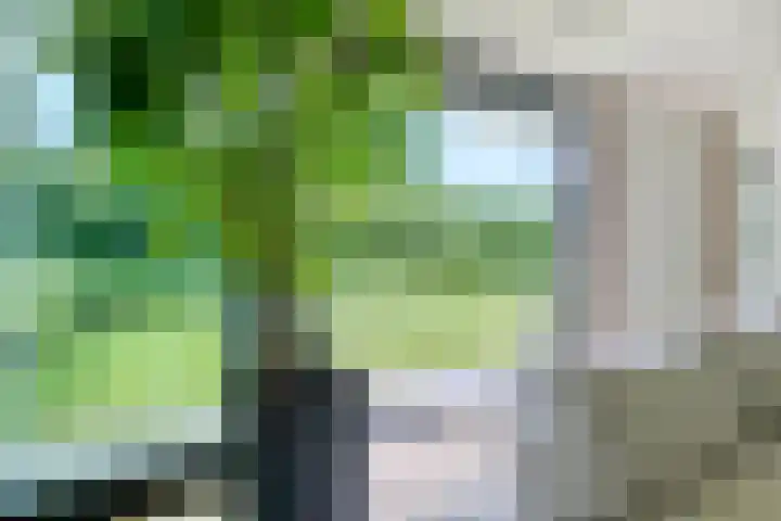 Graafsebaan 12 Rosmalen thumbnail 19