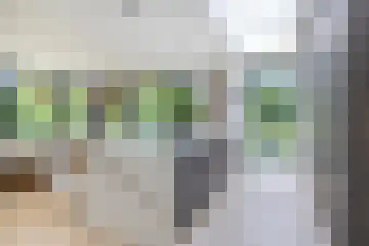 Graafsebaan 12 Rosmalen thumbnail 21