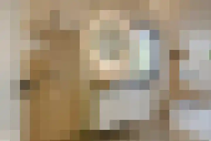 Graafsebaan 12 Rosmalen thumbnail 43