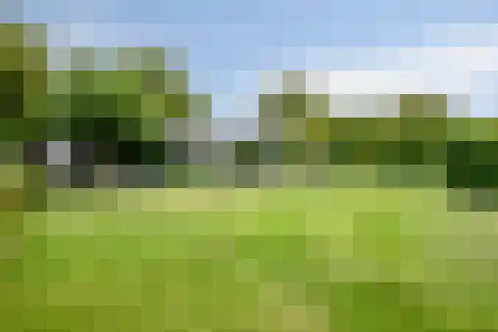 Graafsebaan 12 Rosmalen thumbnail 46