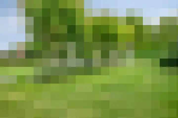 Graafsebaan 12 Rosmalen thumbnail 49