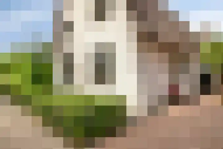 Graafsebaan 12 Rosmalen thumbnail 6