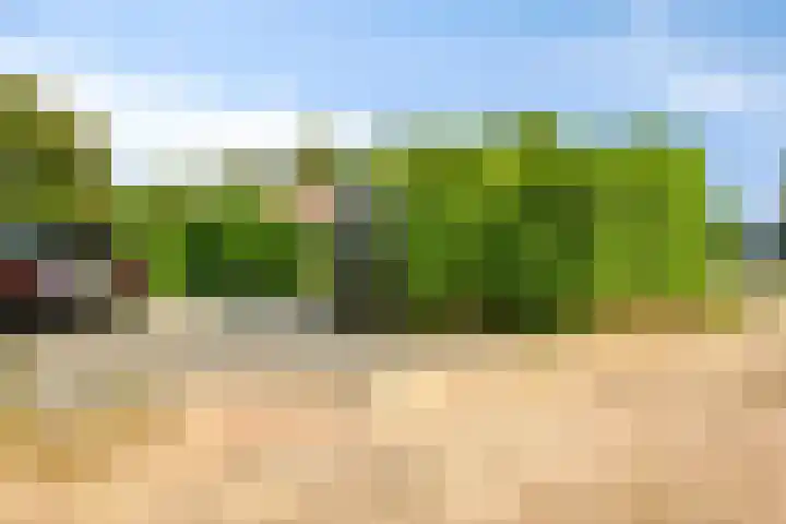 Graafsebaan 12 Rosmalen thumbnail 60