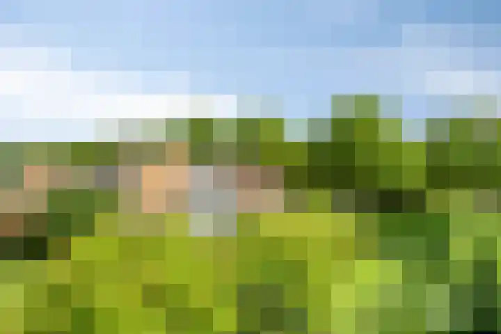 Graafsebaan 12 Rosmalen thumbnail 65