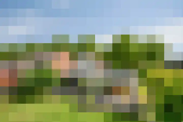 Graafsebaan 12 Rosmalen thumbnail 66