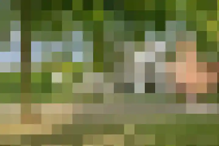 Graafsebaan 12 Rosmalen thumbnail 71