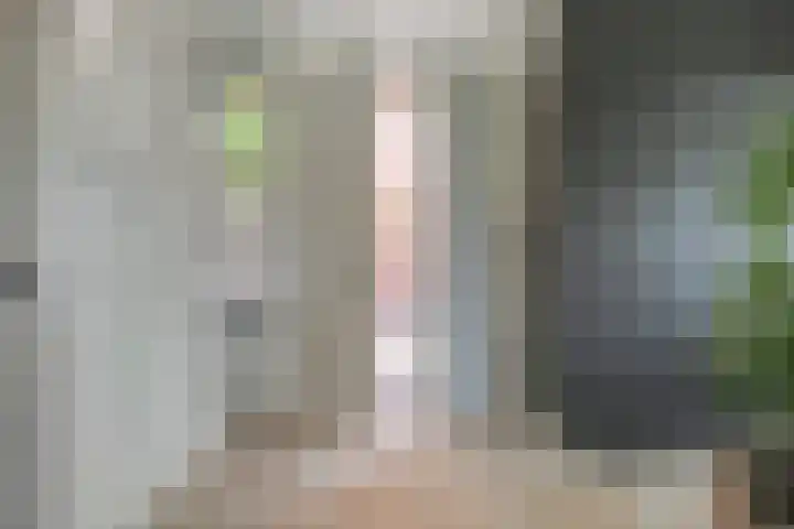 Graafsebaan 12 Rosmalen thumbnail 8