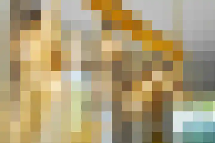 Graafsebaan 41 Heesch thumbnail 16