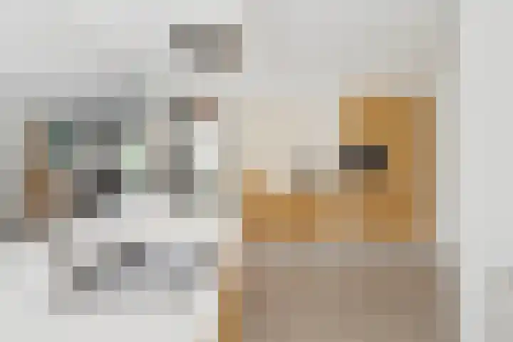 Graafsebaan 41 Heesch thumbnail 21