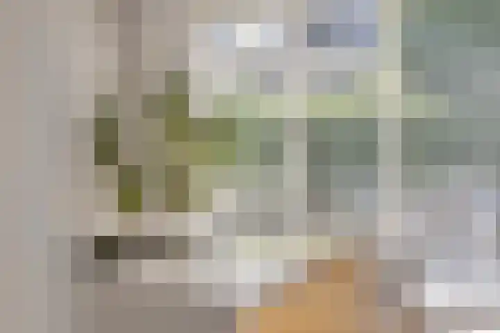 Graafsebaan 41 Heesch thumbnail 23