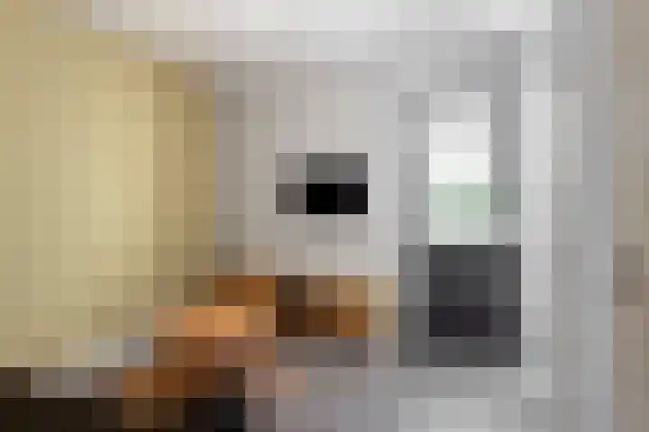 Graafsebaan 41 Heesch thumbnail 27